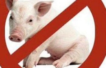 Përse në Islam ndalohet ngrënia e mishit të derrit?