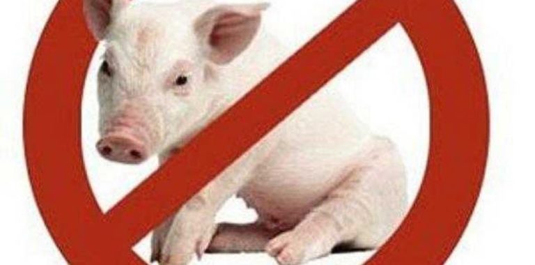 Përse në Islam ndalohet ngrënia e mishit të derrit?