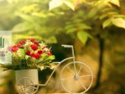 Disa hadithe që do ta ndryshojnë jetën tuaj përgjithmonë!