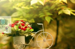 Disa hadithe që do ta ndryshojnë jetën tuaj përgjithmonë!