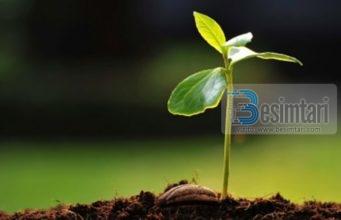 FRYTET E BESIMIT NË KADERIN-CAKTIMIN E ALLAHUT