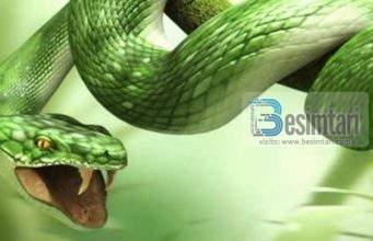 Mrekullia që ju dha Musait alejhi selam – Shkopi u shëndrrua në gjarpër – A e ke ditur ?