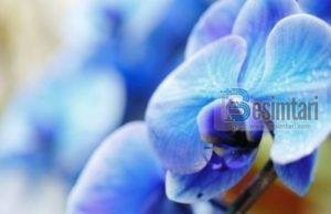 URTËSIA E PROFESORIT; SI TA JETOSH JETËN TËNDE !!