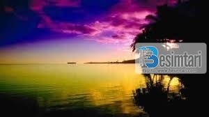 Përngjasimet e ndërsjellta mes dy gjinive