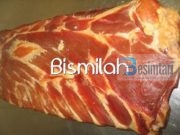 Mishi qe therret me Bismilah (zbulime Shkencore)