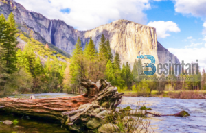 CILA ËSHTË E VËRTETA E KËSAJ BOTE !!??