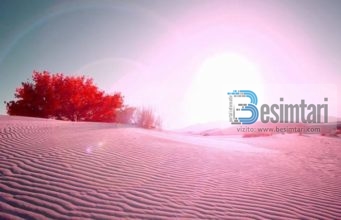 NË KËRKIM TË LUMTURISË