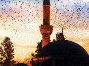 Mësoni kur është dita e parë e Ramazanit