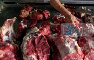 Deputeti, banditi dhe kriminelët që na shesin mish të prishur