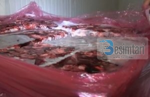 Skandal ! – Prokuroria zbulon minj të ngordhur në fabrikën e mishit (Video)