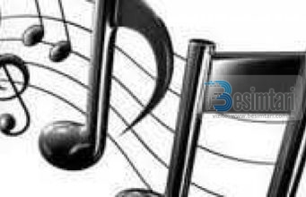 DËMET QË LË MUZIKA TEK NJERIU