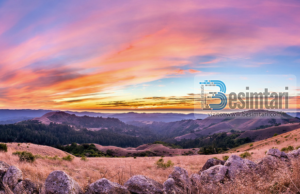 Burri që e humbi rrugën e drejtë me dije.