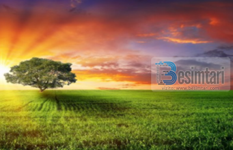 Në cilat periudha kohore paraqiten veprat tek Allahu?