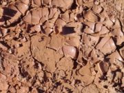 NESE SHIHET NE ENDERR BALTA