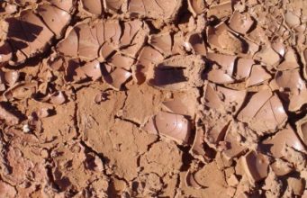 NESE SHIHET NE ENDERR BALTA