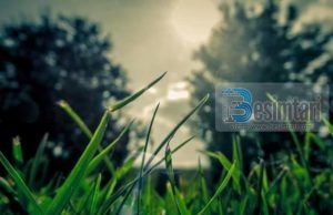 NËNËS I DIGJET SHPIRTI PËR TY!