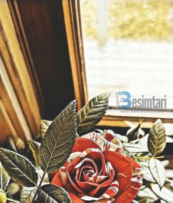 DASHURIA E SINQERTË NUK ËSHTË FJALË, POR VEPRA