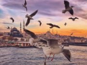 Përqafoji kritikat konstruktive