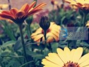 PSE TË VJEN TURP TË SILLESH ME GRUAN ASHTU?!