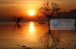 Smira dhe shoqëria e sotme