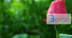 Si ta lumturojë gruaja burrin e saj ?