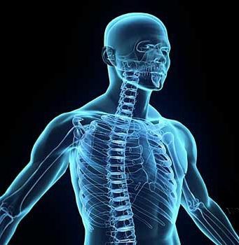 Skeleti i njeriut! Mrekullia në trupin tonë