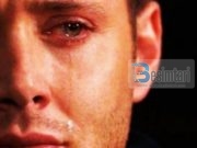 Lotët e pendimit, shiu më i mirë që ujit tokën