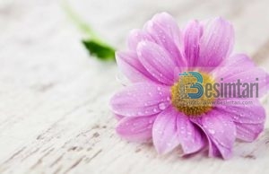 SHKAQET QË NDIHMOJNË NË ULJEN E SHIKIMIT