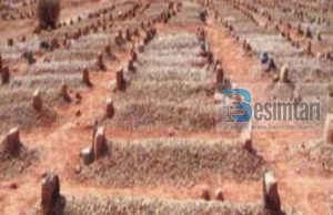 NËSE TË VDESIN DY FËMIJË ÇFAR NDODHË?