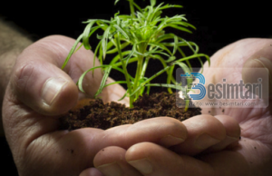 SI TA FALENDEROSH ALLAHUN KUR AI TË JEP BEGATI !!??