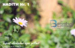 VEPRAT JANË SIPAS QËLLIMIT !