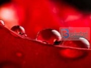 MOS E LEJO ASKËND TA NDRYSHON GJENDJEN SHPIRTËRORE!!