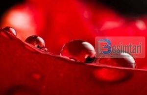 MOS E LEJO ASKËND TA NDRYSHON GJENDJEN SHPIRTËRORE!!