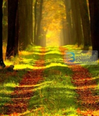 Populli i parë që do të hyjë në Xhenet – Ibn Kajjim el-Xheuzije