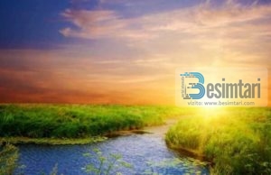 AI KE DËGJUAR KËTO RRETH XHENETIT