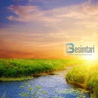 AI KE DËGJUAR KËTO RRETH XHENETIT