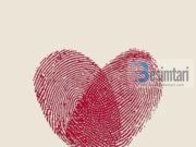 SHKAQET E NGURTËSISË SË ZEMRËS DHE SHËRIMI I SAJ !!