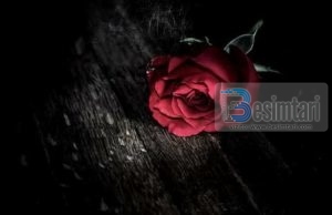 ZEMRA E MIRË E GRUAS NUK THYHET PËR NJË GABIM!!