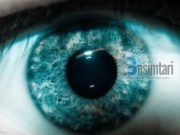 Si t’i bëjmë ballë sprovës së ruajtjes së shikimit ?!