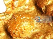 20 fakte që nuk i dinim për arin…