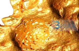 20 fakte që nuk i dinim për arin…