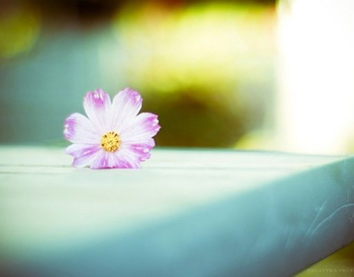 TURPI ËSHTË PREJ IMANIT