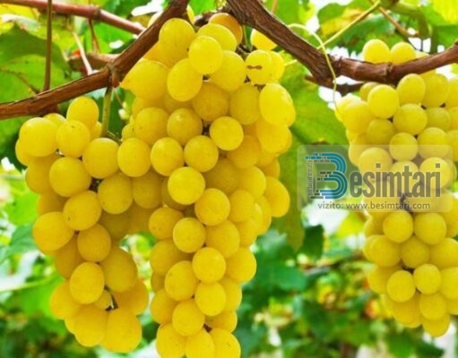 Ja pesë Ushqimet e Mbrëmjes Që Ndihmojnë Të Humbisni Peshë